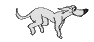 running dog